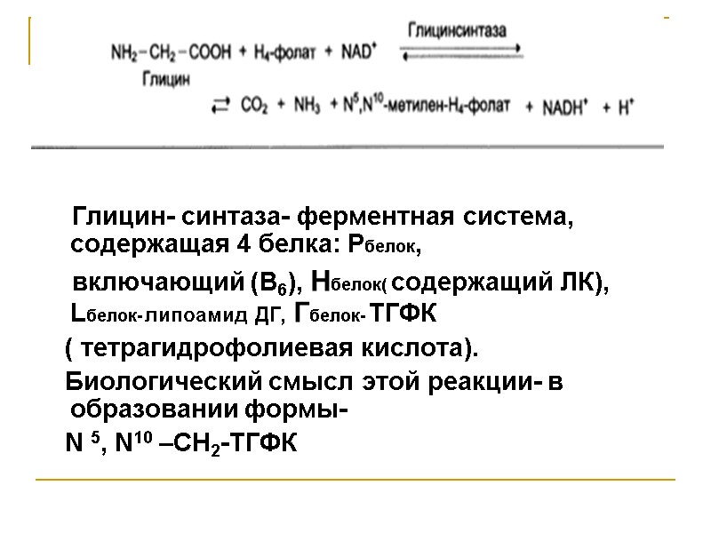 Глицин- синтаза- ферментная система, содержащая 4 белка: Рбелок,     включающий (В6),